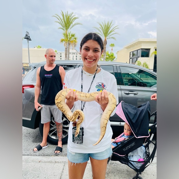 curvy high rise denim shorts - Picture 5 of 5